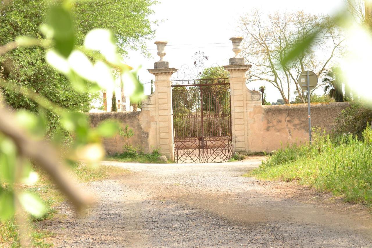 Domaine Les Castans Bed and Breakfast Saint-Thibéry Εξωτερικό φωτογραφία